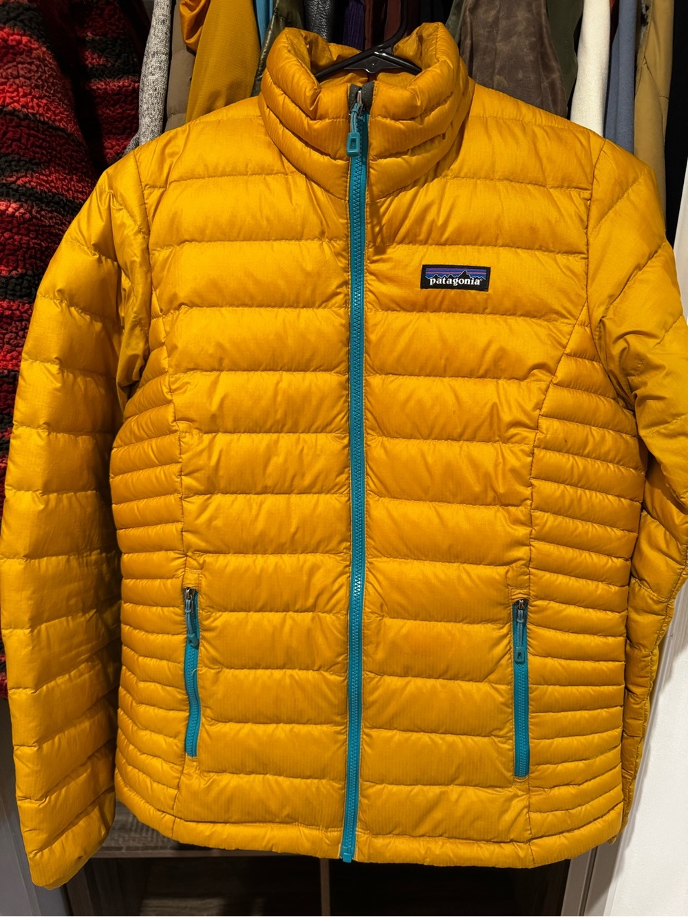 Patagonia Down Sweater